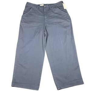 Pilcro Anthropologie Wide Leg High Rise Ankle Pants Blue Gray Women's Sz 18W NWT